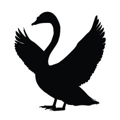 Swan Silhouette on White Background
