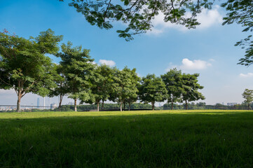 The park had open grassy areas