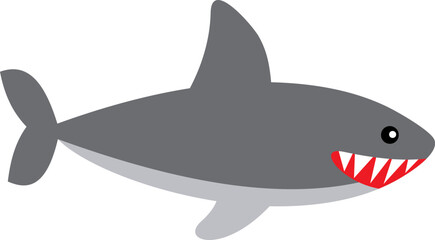 Shark illustration