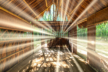 Sun rays penetrate inside a temporary bamboo house in the tropical forest.