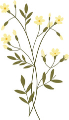 Fototapeta na wymiar Jasmine flower illustration