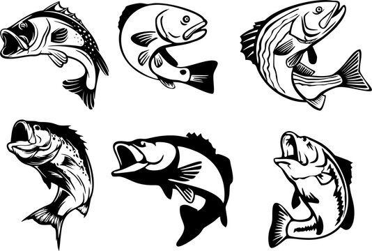 Cartoon salmon fish set for fishing sports or seafood marketing poster or banner. High resolution Illustration in Monochrome Style on white background.