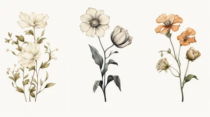Schilderijen op glas Vintage artwork and retro graphic design set of botanical illustrations of flowers or floral plants © ND STOCK