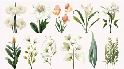 Stof per meter Vintage artwork and retro graphic design set of botanical illustrations of flowers or floral plants © ND STOCK