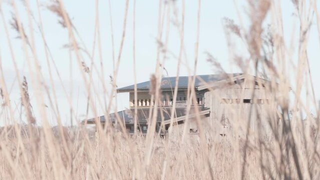 Bird Hide for Bird watching Seen Behind Reeds, Establishing Shot