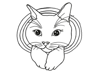 Animal - Adorable Cat, Kitty, Kitten Illustration