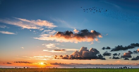 A beatiful sky with comolus clouds and a flock of birds flying in the sunset