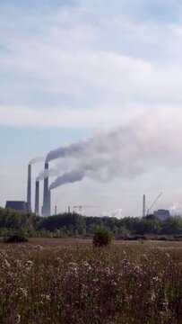 Smoking chimneys of a large factory, Vertical