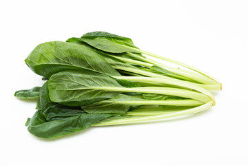 白背景に小松菜