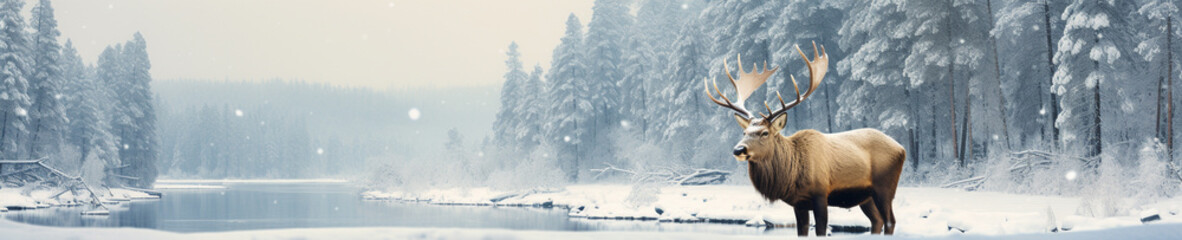 A Banner Photo of an Elk in a Winter Setting