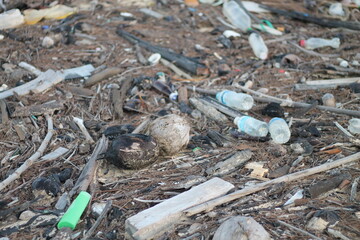 Plastic water bottle pollution in the sea. Environmental concept. environmental pollution