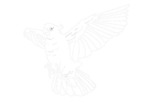 recommend clip art: Illustrator Of A Parrot - Cockatoo - kakatua illustration - white line art