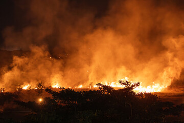 Fototapeta na wymiar Wildfire Burning in the Distance on a Dark Night
