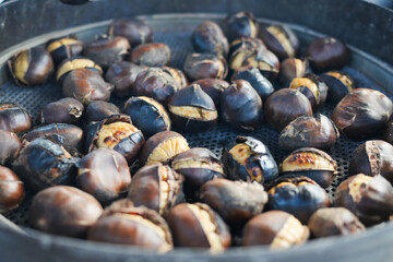 traditional Istanbul street food grilled chestnuts in a row