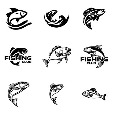 Set of Fishing Logo with Jumping Fish Vector Element Logo Template