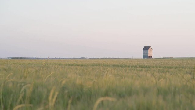 Barn House In The Midst Of Countryside Fields During Sunset. Wide Shot