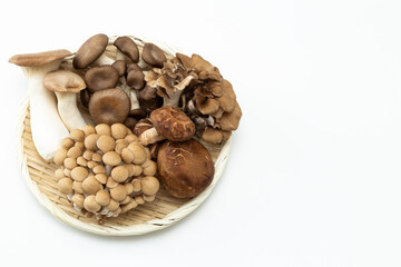 キノコの盛り合わせ