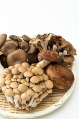 キノコの盛り合わせ