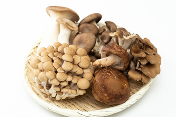 キノコの盛り合わせ