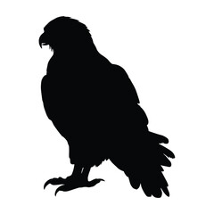 Hawk Silhouette on a Clean White Background