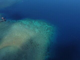 Fototapeta na wymiar Tranquil Underwater Scenery: Peaceful Marine Life in Clear Blue Ocean in maluku