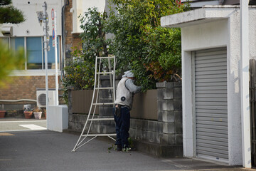 家の庭の植物をメンテナンスしている業者の人の姿