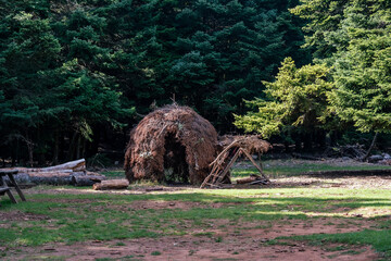 Image shows a shack made of branches in a forest's field.