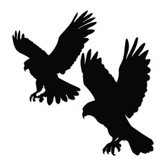 Hawk Flying Silhouette on White