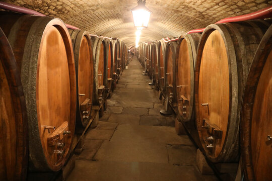 wooden barrels to age the wine underground in a humidity-controlled cooperative cellar