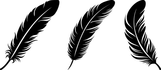 feathers black bird feather silhouette logo vector set - obrazy, fototapety, plakaty