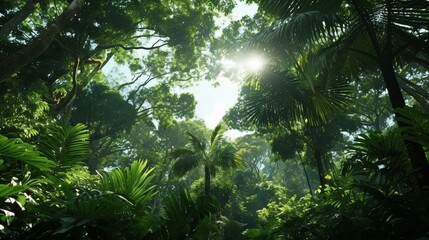 Obraz premium a forest of trees