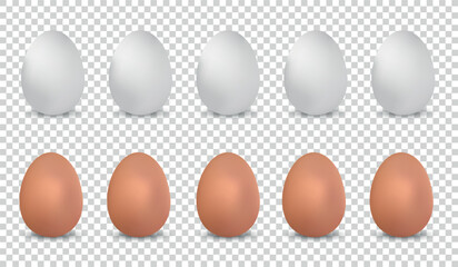 White And Brown Realistic Chicken Eggs - Vector Illustrations Isolated On Transparent Background