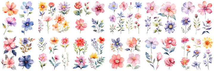 A Big watercolor floral package collection. Use by fabric, fashion, wedding invitation, template, poster, romance, greeting, spring, bouquet, pattern, decoration and textile.	