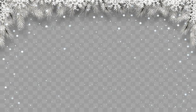 Christmas background,Winter backdrop with Christmas fir tree branches snow flakes border frame,snow falling on transparent background,Vector banner for Merry Christmas and Happy New Year 2024