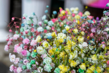A bouquet of flowers from the flower market