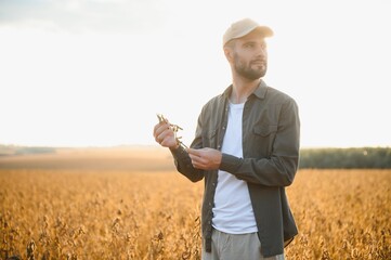 Portrait of farmer standing in soybean field at sunset.