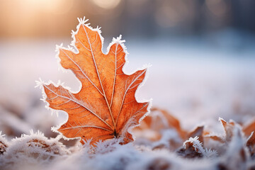 Frosty macro stock photography autumn leaves on a winter morning snow ground. Generative AI