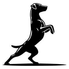 Dog Pose Vector silhouette illustration black color