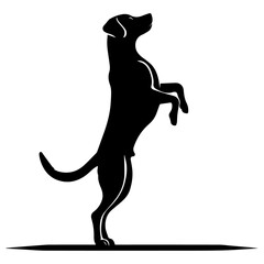 Dog Pose Vector silhouette illustration black color