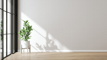 Modern minimal empty room with green tropical tree in pot, glass sliding door partition with black...