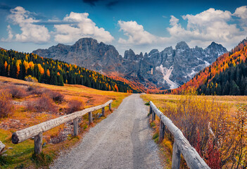 Empty country road on Venegia valley, high altitude Dolomite valley natural park with jagged peaks, rolling meadows, pastures and streams. Stunning morning scene of Italian countryside. - obrazy, fototapety, plakaty