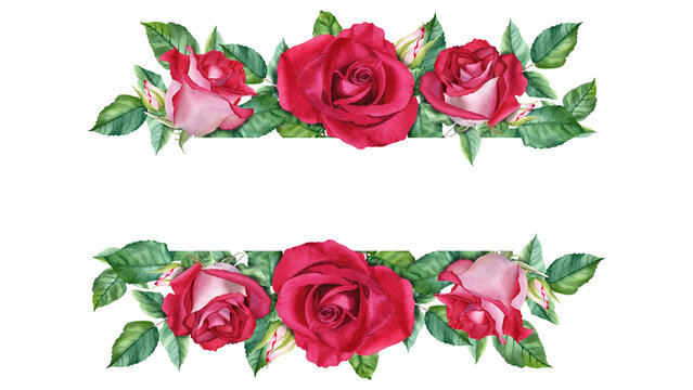 Horizontal banner, border, frame with red rose blooms, buds and leaves. Watercolor Illustration for cards, invitation