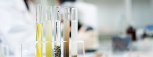 Rock, soil or mineral sample test tube in paleontology, archaeological and geological or mining laboratory. Concept of geologist or archaeologist is doing experiment to check fossil research or soil.