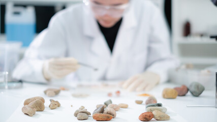 A female geologist or archaeologist is analyzing a sample of rock or mineral in paleontology, archaeological and geological or mining laboratory. Concept of fossil research or soil experiment. - obrazy, fototapety, plakaty