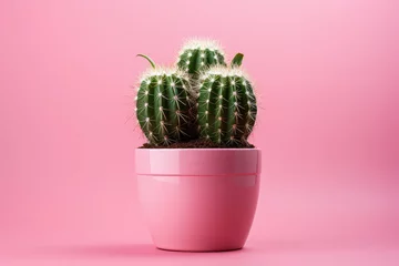 Wandcirkels plexiglas Mockup cactus in a pot on pink background © Atchariya63
