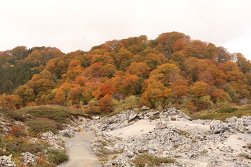 Obraz premium 青森県下北半島、霊場恐山。紅葉に染まる小山。