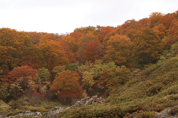 Obraz premium 青森県下北半島、霊場恐山。紅葉に染まる山。