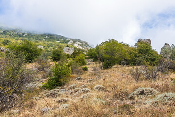 Mysterious mountain landscape of the Valley of Ghosts on the western slope of Mount Demerdzhi in Crimea. Popular tourism and trekking destination