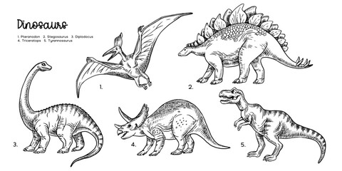 Hand drawn sketch dinosaurs set. Vector isolated illustration