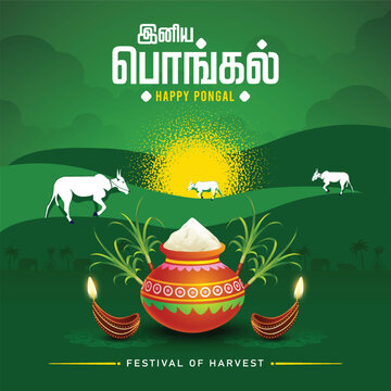 illustration of Happy Pongal Holiday Harvest Festival of Tamil Nadu